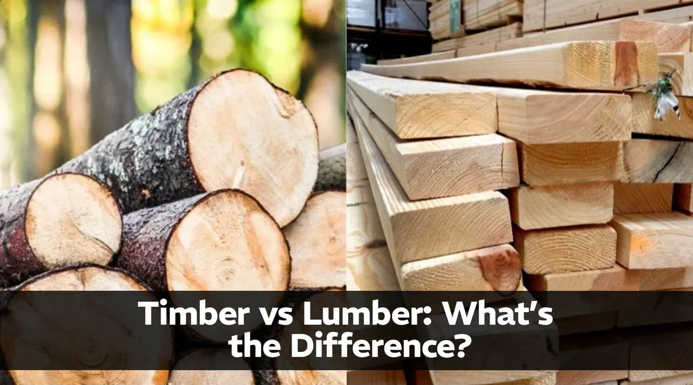 Timber vs Lumber: What’s the Difference?