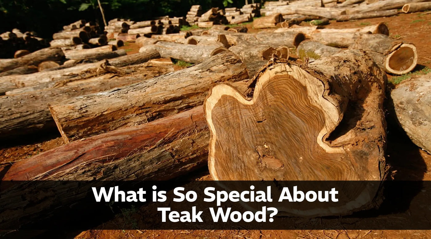 What is So Special About Teak Wood?