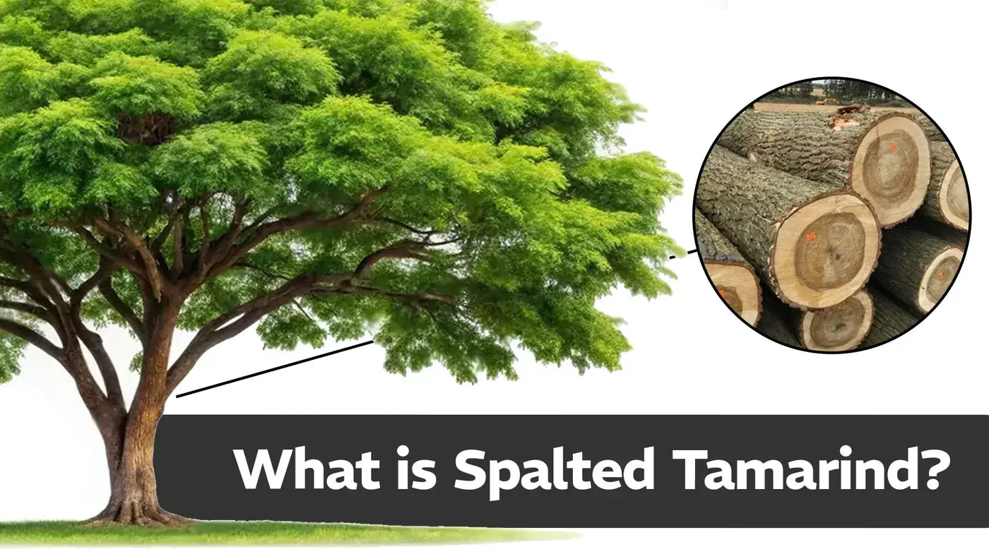 Spalted Tamarind