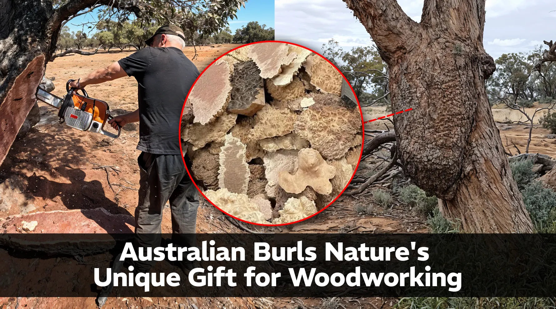 Australian Burls: Nature's Unique Gift for Woodworking