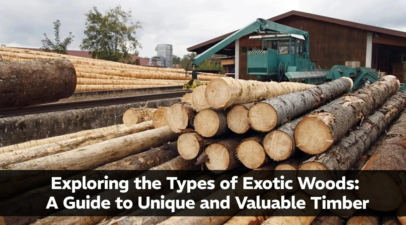 Exploring the Types of Exotic Woods