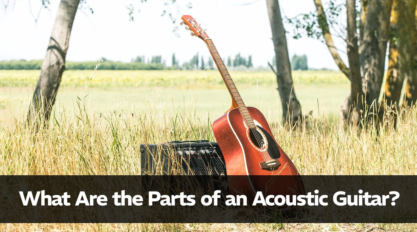 What Are The Parts Of An Acoustic Guitar?