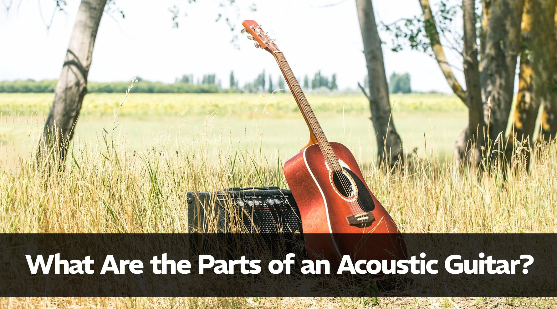What Are The Parts Of An Acoustic Guitar?