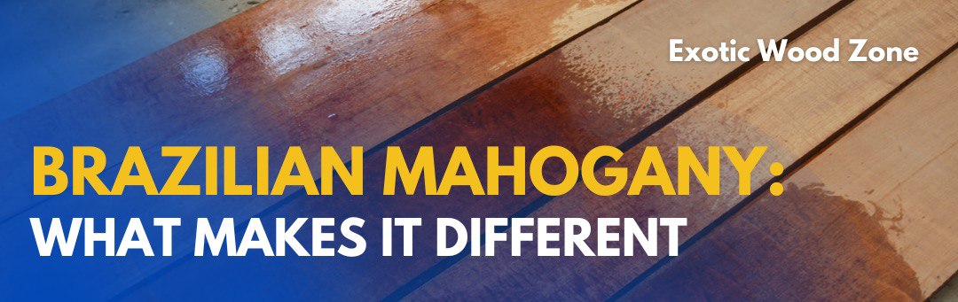 Brazilian Mahogany: What makes it different?