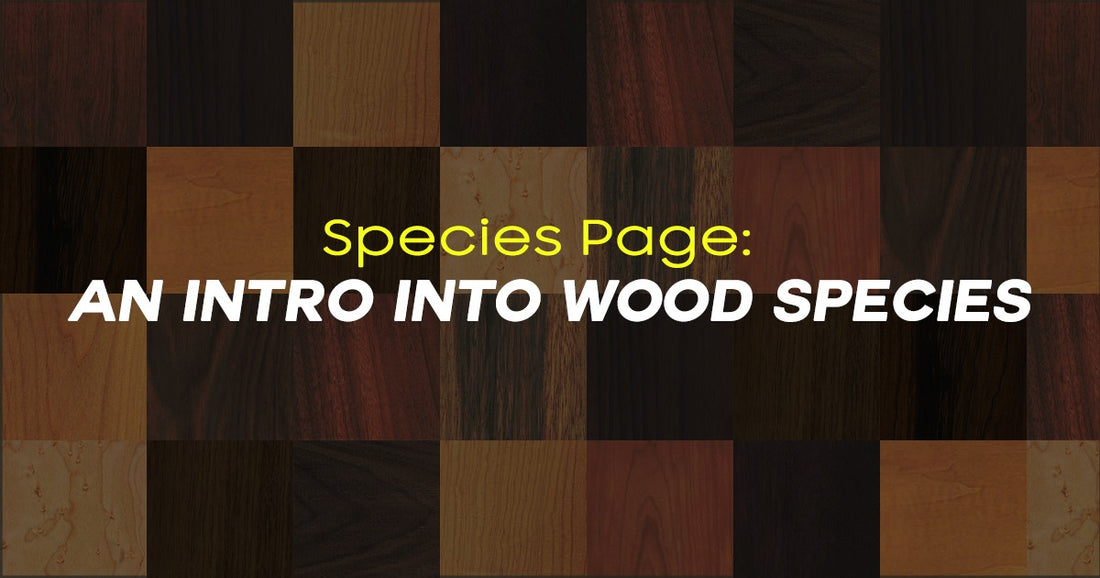 Species page: An intro into wood species