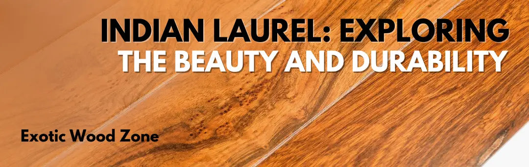 Indian-Laurel-Exploring-The-Beauty-and-Durability Exotic Wood Zone