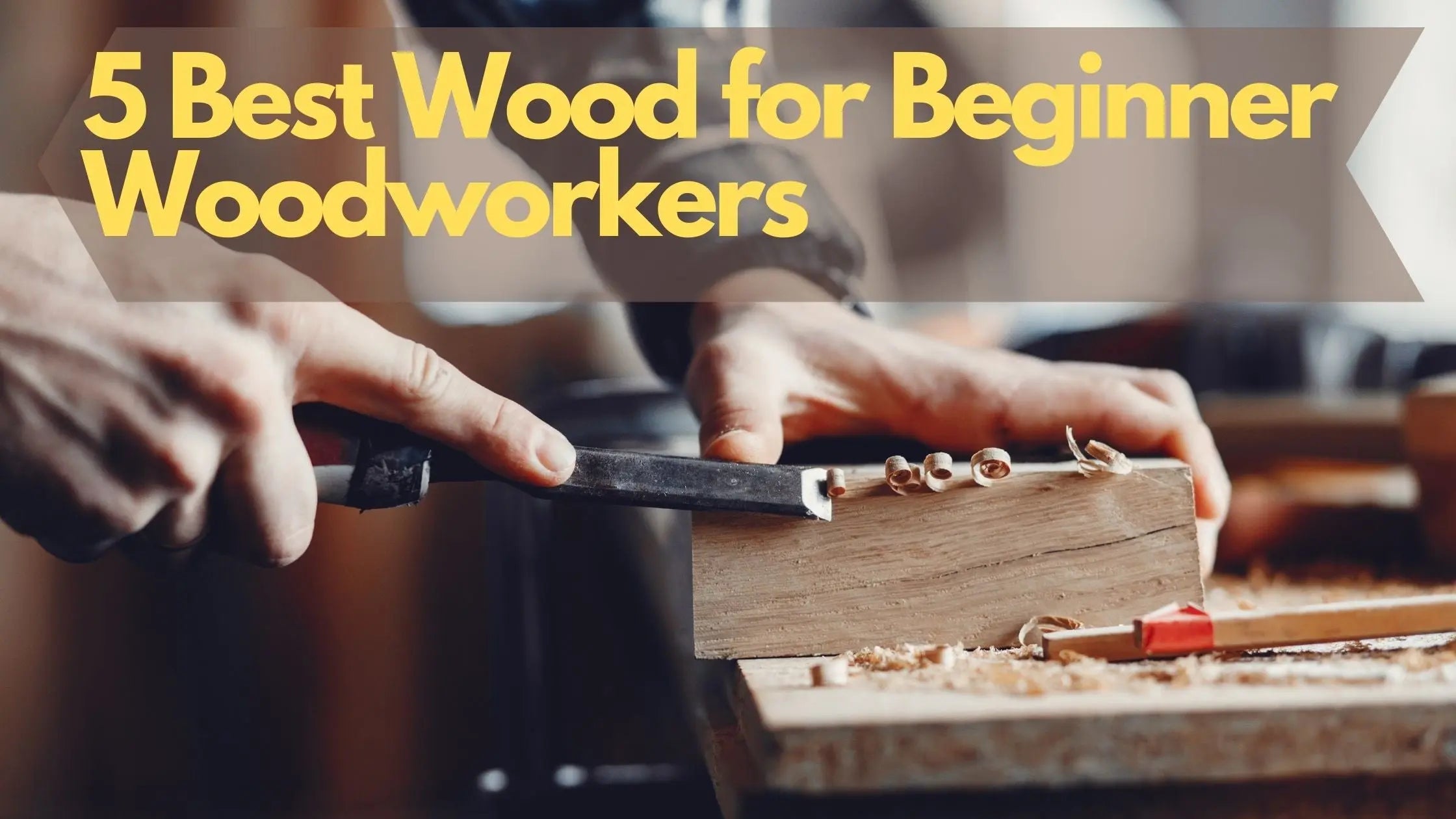 5 Best Wood for Beginner Woodworkers