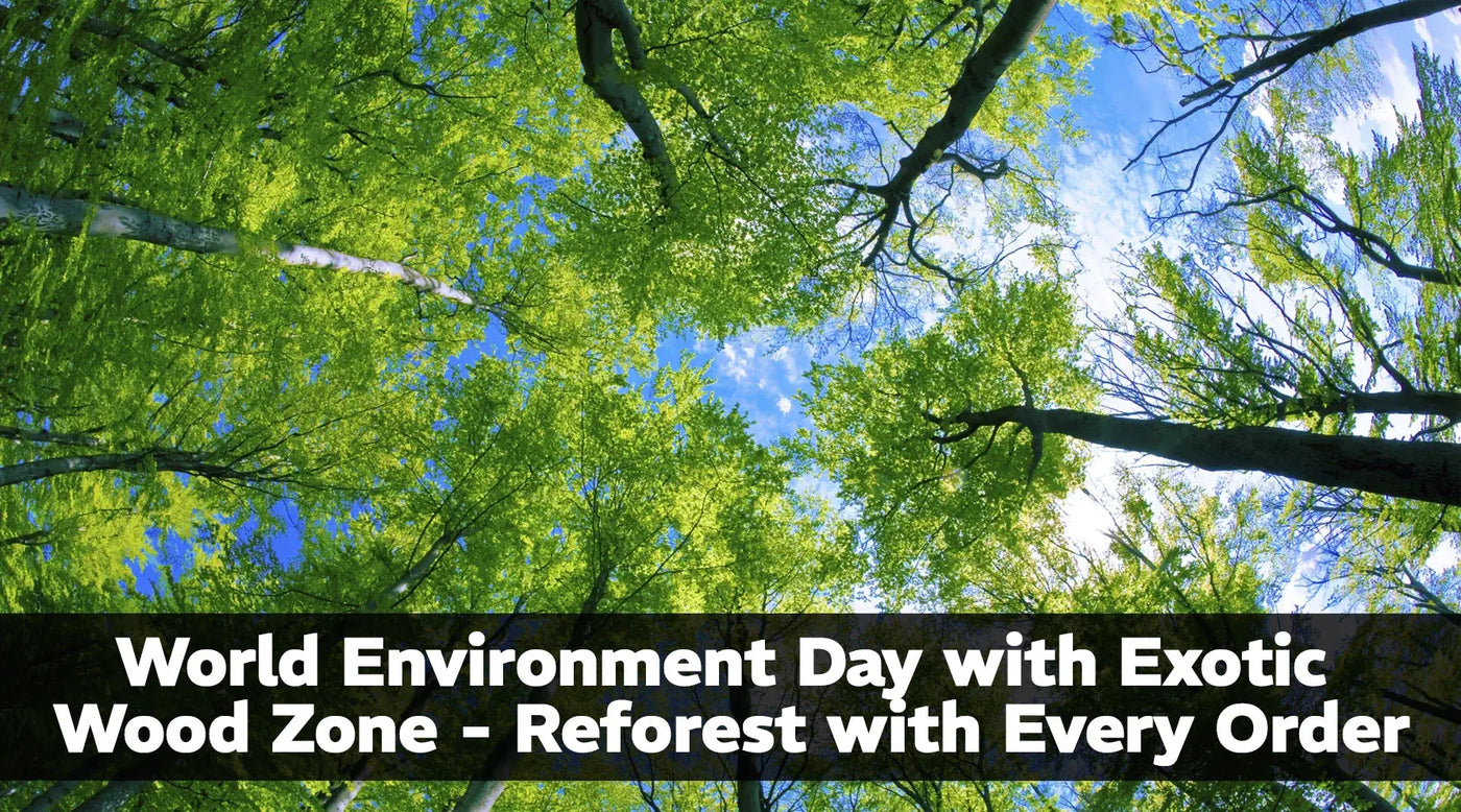 World Environment Day with Exotic Wood Zone - Reforest with Every Order