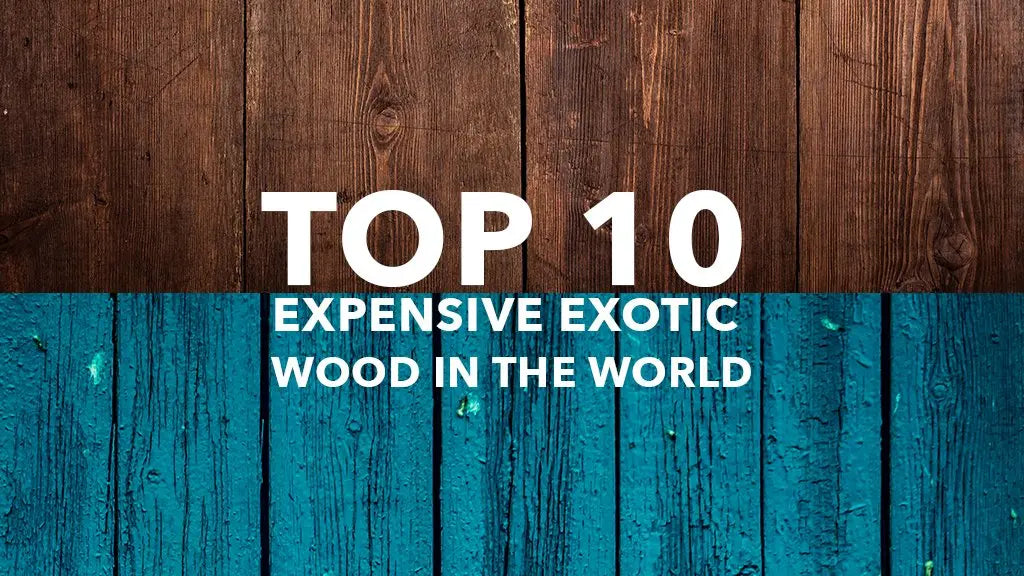 Top 10 Expensive Exotic Wood in the World