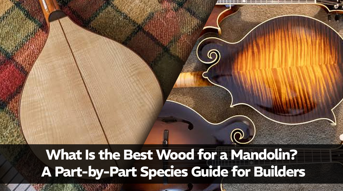 What Is the Best Wood for a Mandolin? A Part-by-Part Species Guide for Builders