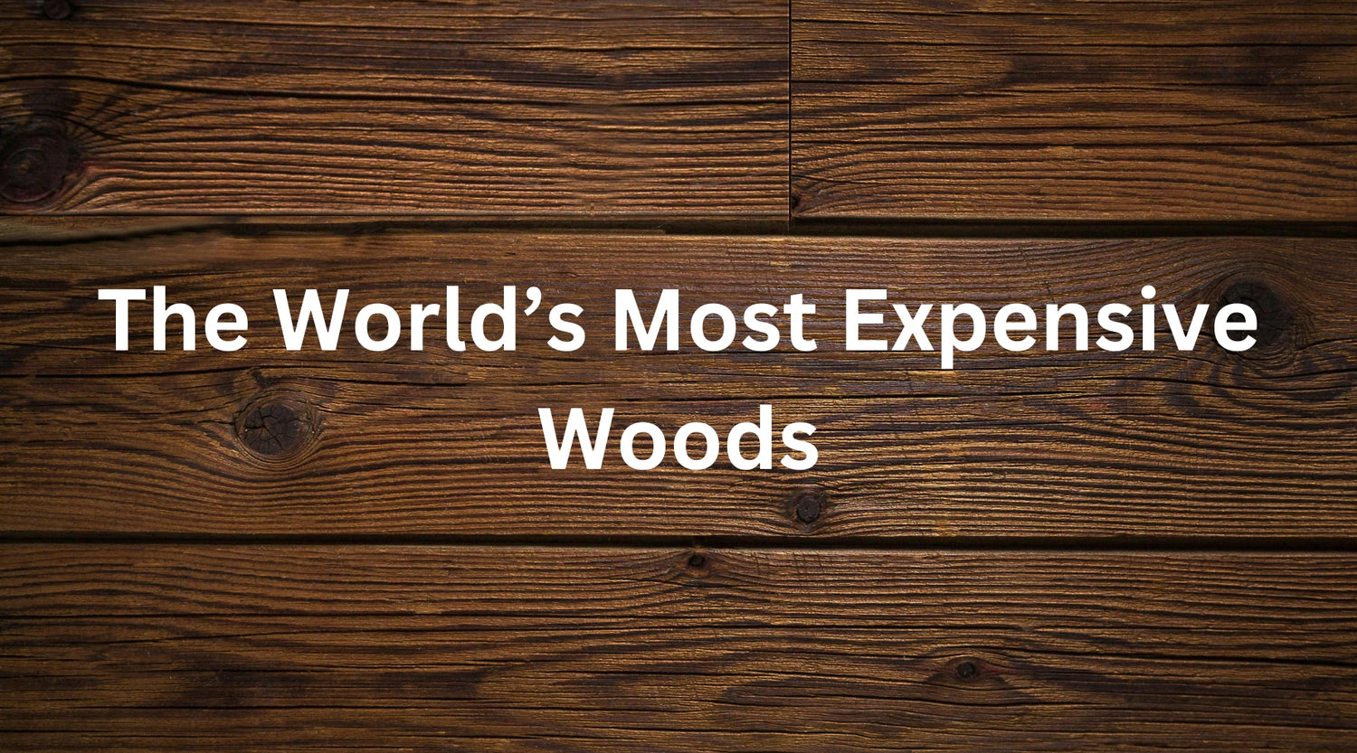 The Most Expensive Woods in the World and Why They’re Worth the Price