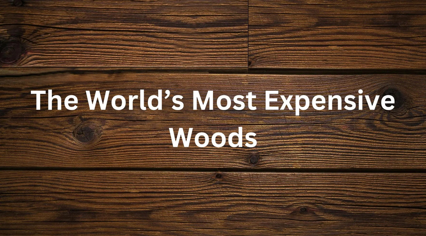 The-Most-Expensive-Woods-in-the-World-and-Why-They-re-Worth-the-Price Exotic Wood Zone