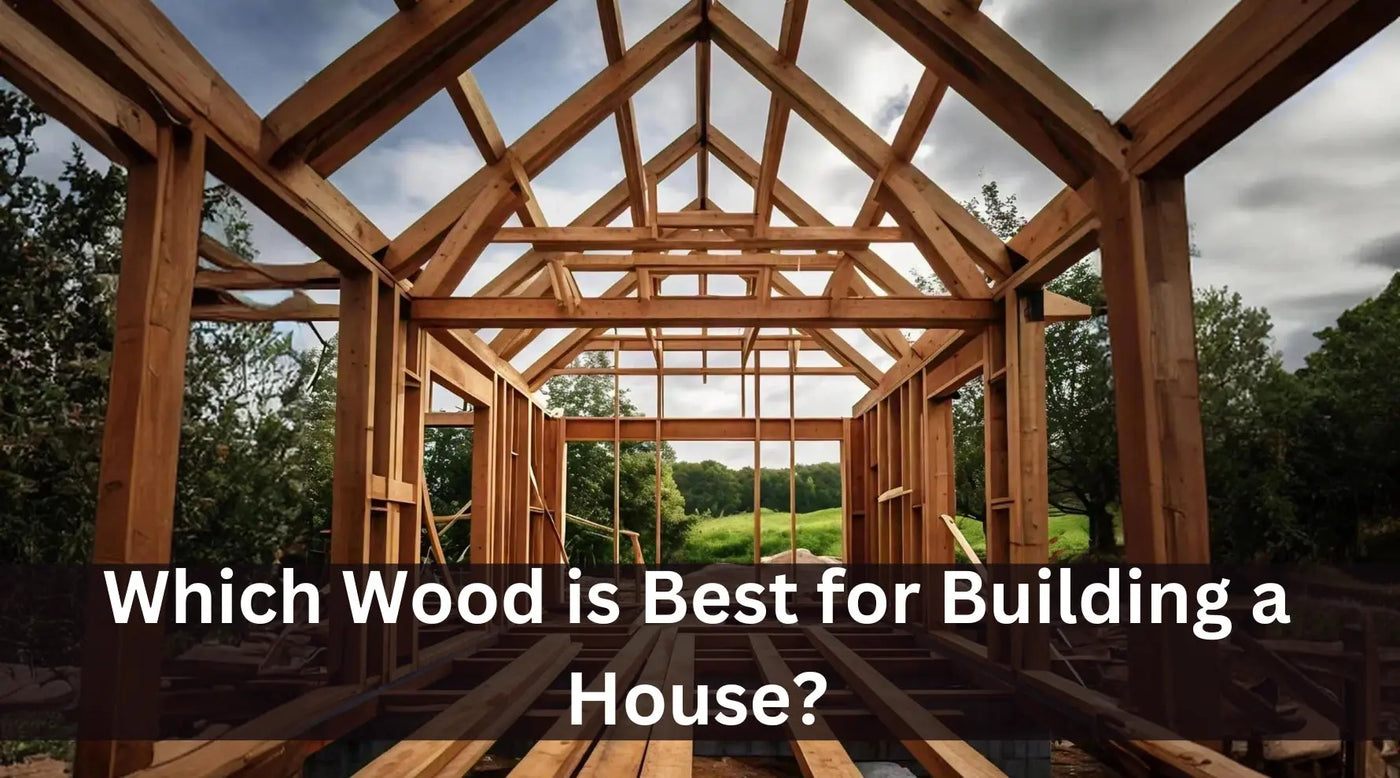 Which-Wood-is-Best-for-Building-a-House Exotic Wood Zone