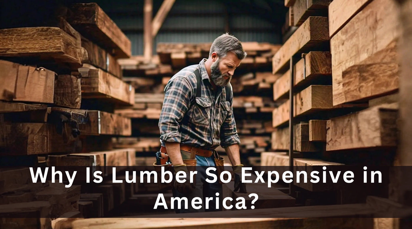 Why-Is-Lumber-So-Expensive-in-America Exotic Wood Zone