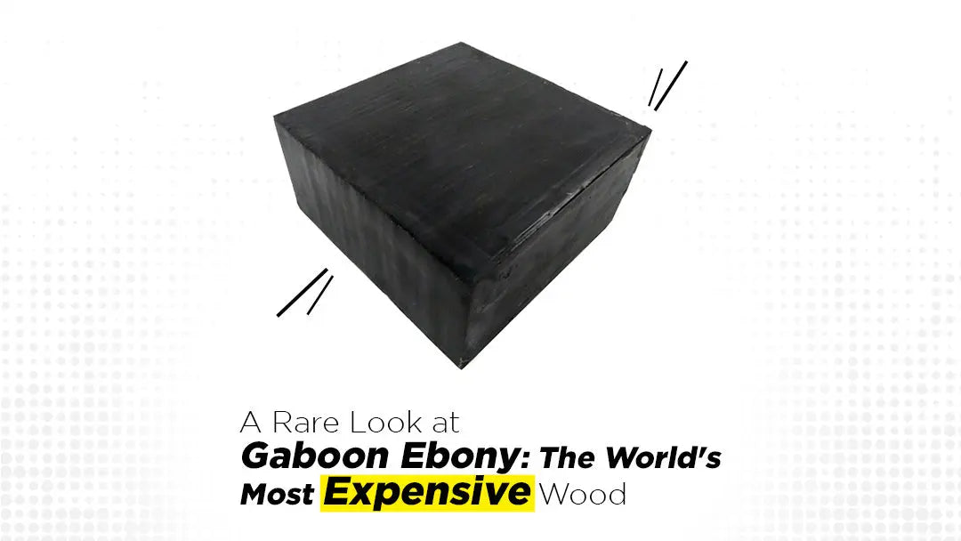 A-Rare-Look-at-Gaboon-Ebony-The-World-s-Most-Expensive-Wood-A-Guide-from-Exoticwoodzone Exotic Wood Zone