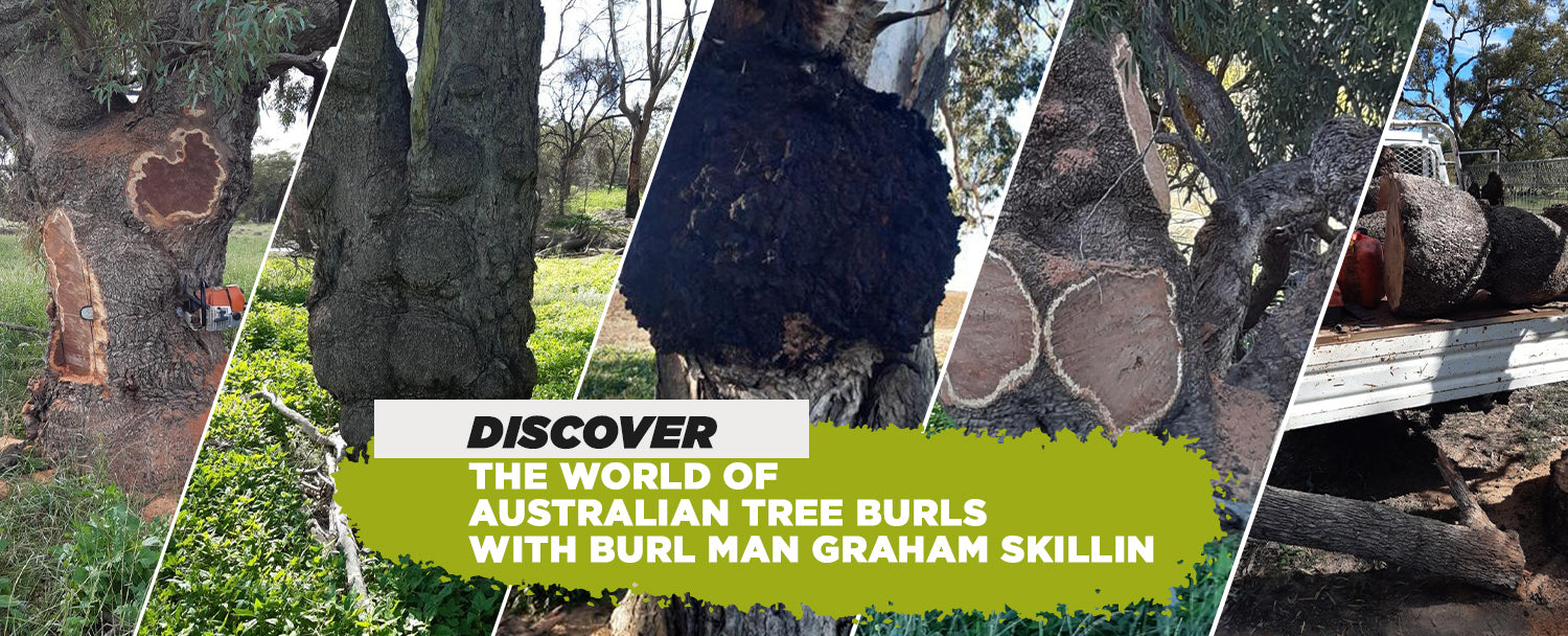Discover The World of Australian Tree Burls with Burl Man Graham Skillos