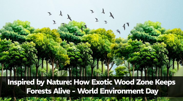 Inspired by Nature: How Exotic Wood Zone Keeps Forests Alive - World Environment Day