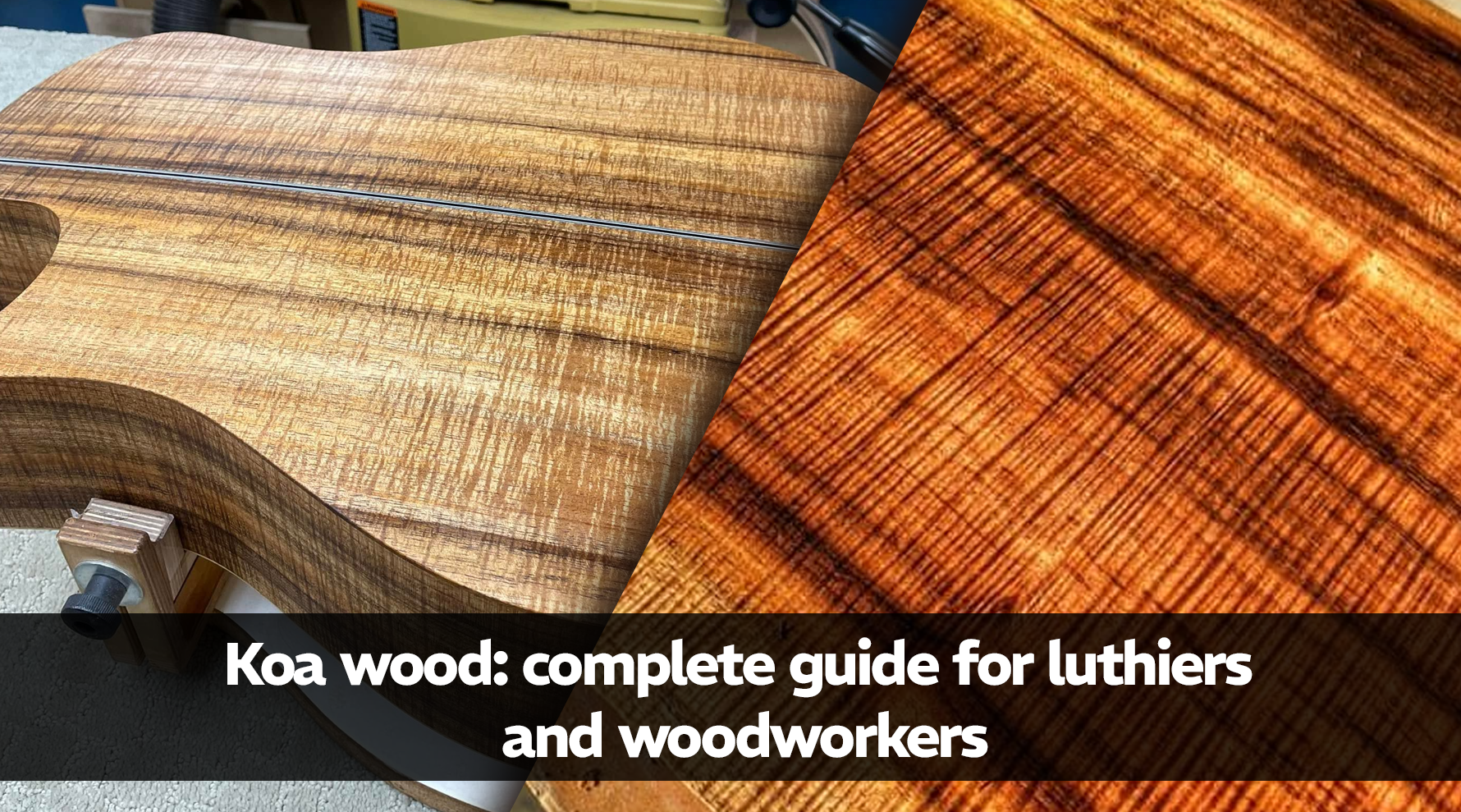Koa Wood The Complete Guide for Luthiers and Woodworkers