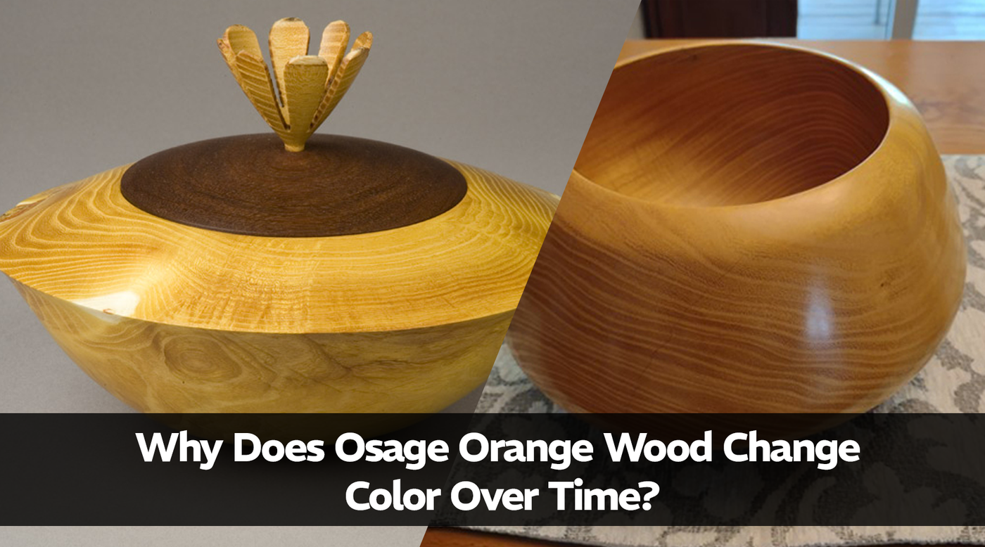 Why Does Osage Orange Wood Change Color Over Time?