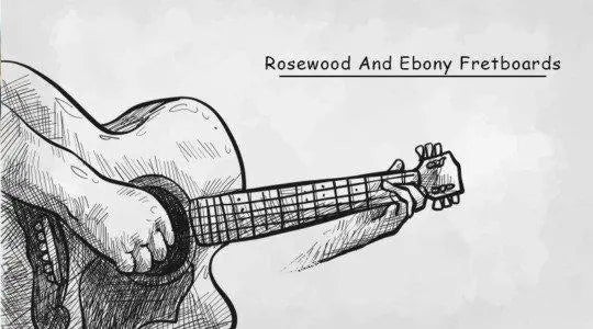 Rosewood And Ebony Fretboards