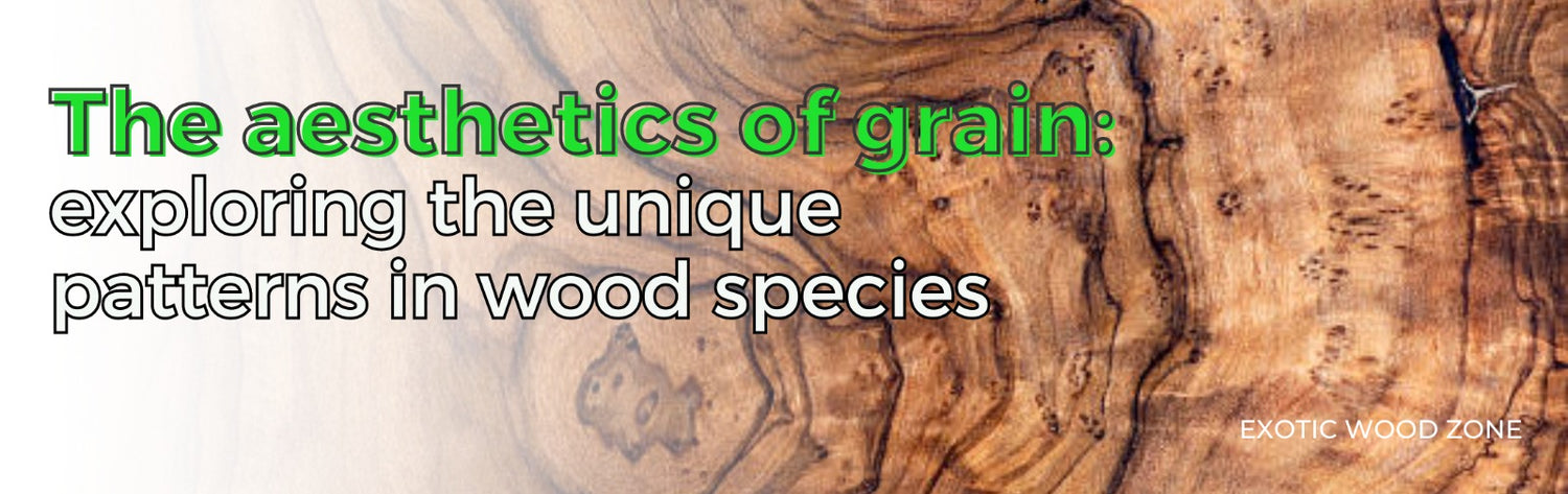 The Aesthetics of Grain: Exploring the Unique Patterns in Wood Species