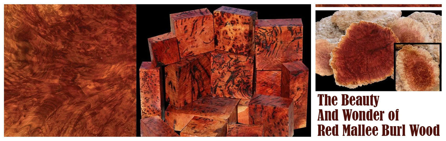 The Beauty and Wonder of Red Mallee Burl Wood