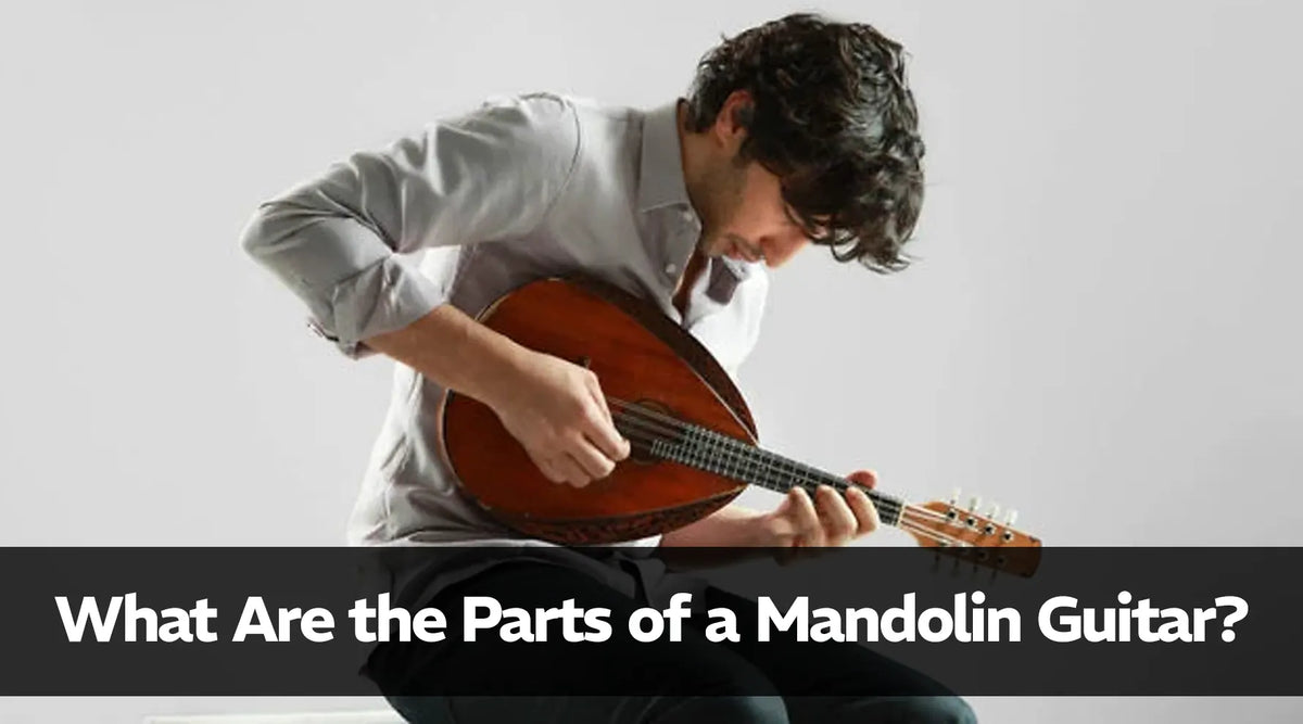 Mandolin Components What Are the Parts of a Mandolin Guitar? – Exotic Wood Zone