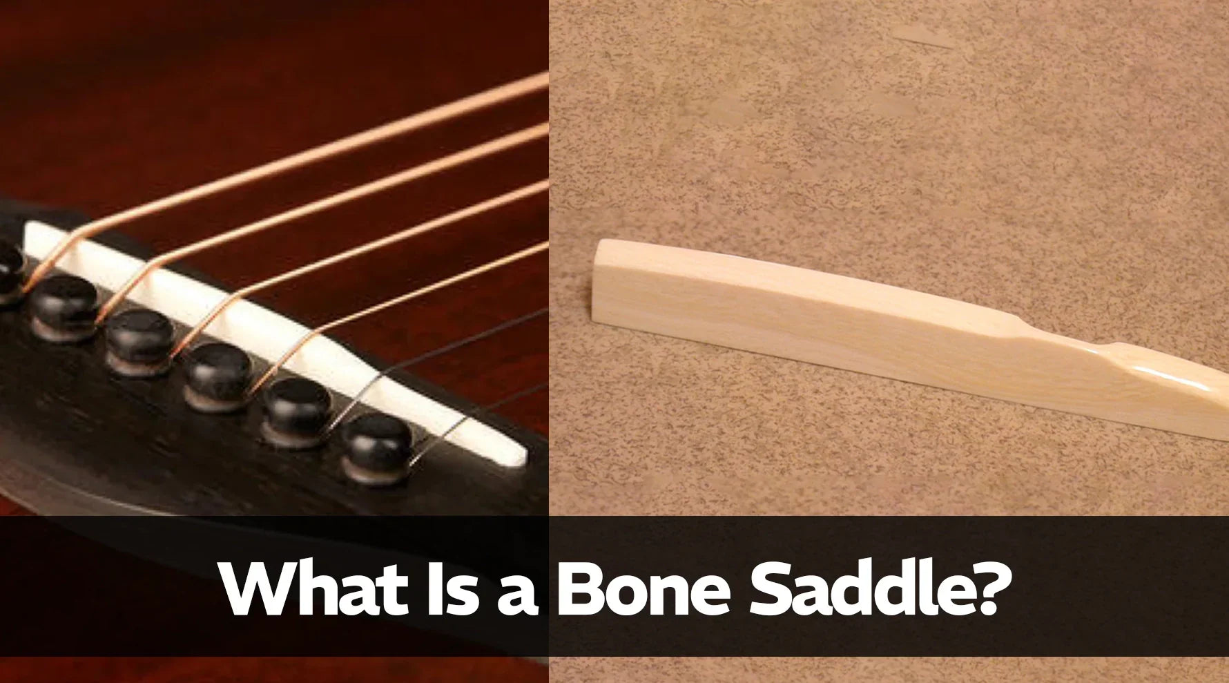 What Is a Bone Saddle?