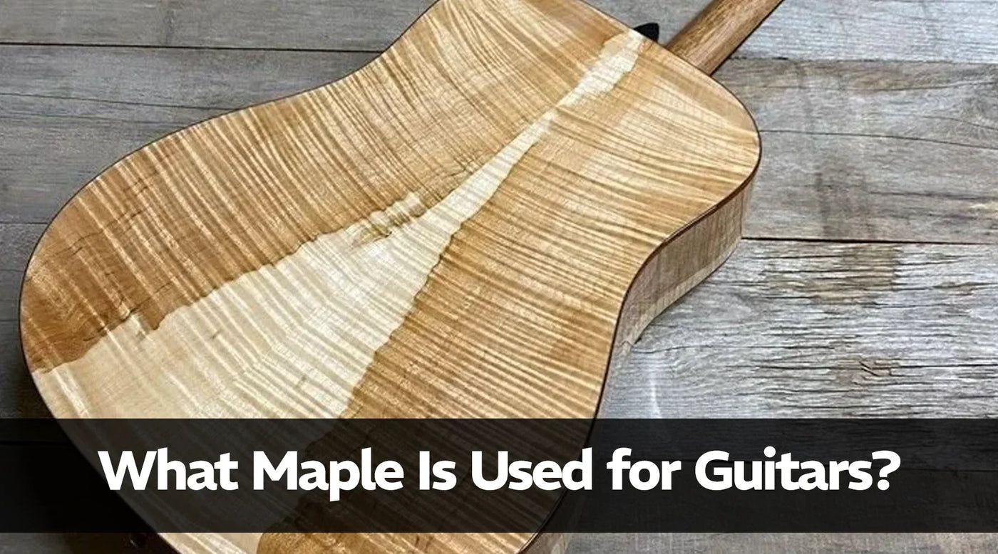 What Maple Is Used for Guitars?