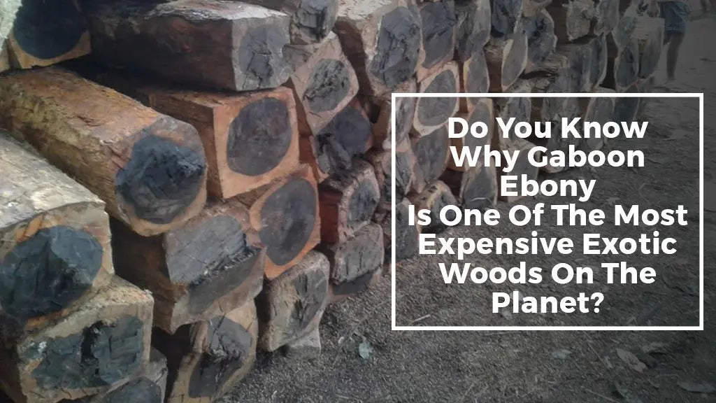 Do-you-know-why-Gaboon-Ebony-is-one-of-the-most-expensive-exotic-woods-on-the-planet Exotic Wood Zone