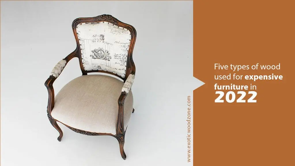 5-Types-of-Woods-Used-for-Expensive-Furniture-in-2022-Exoticwood-Zone Exotic Wood Zone