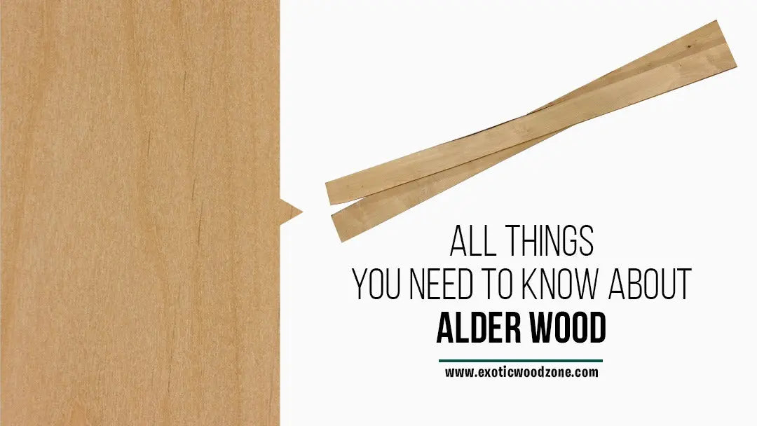 All-things-you-need-to-know-about-Alder-wood-Exotic-Wood-Zone Exotic Wood Zone