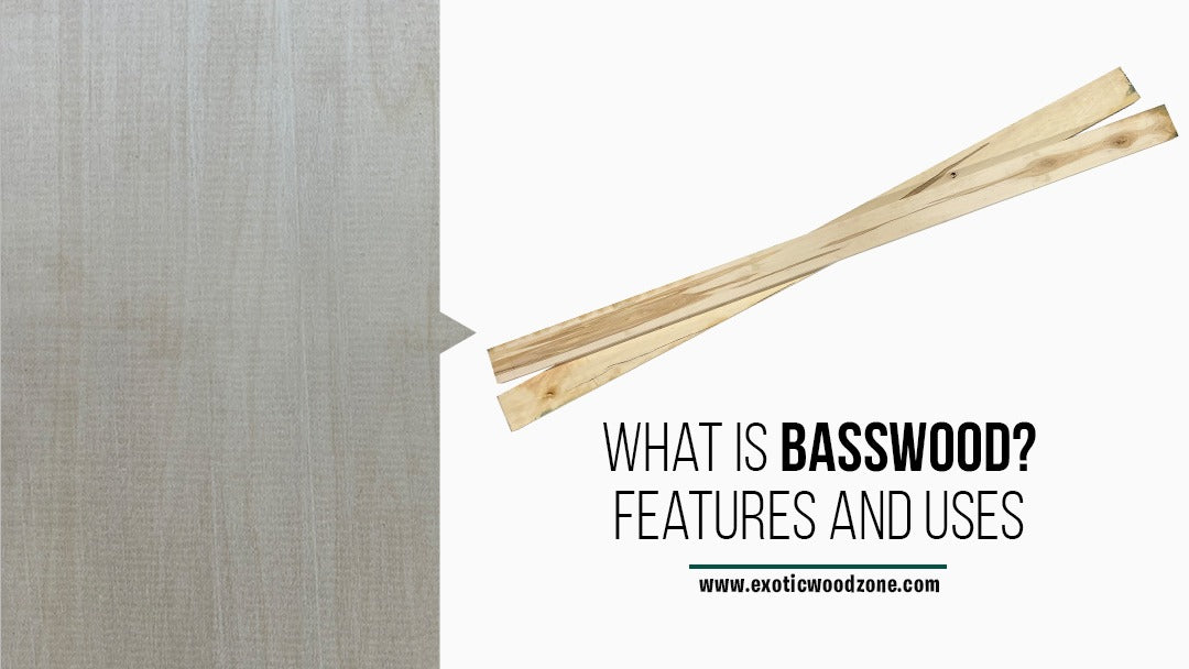 What is Basswood? Features and Uses