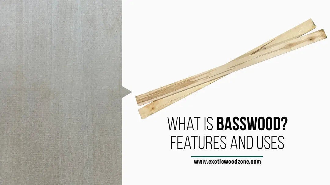 What-is-Basswood-Features-and-Uses Exotic Wood Zone