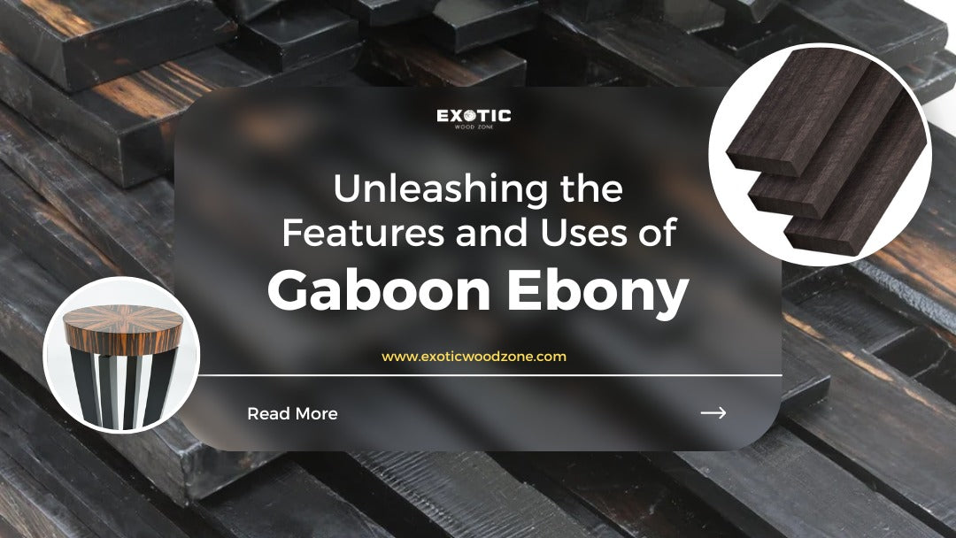 Unleashing the Features and Uses of Gaboon Ebony( 2023)