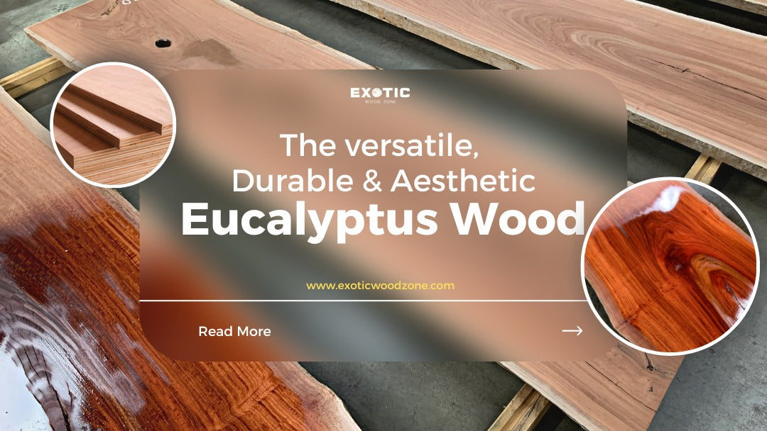 The Versatile, Durable, and Aesthetic Eucalyptus Wood