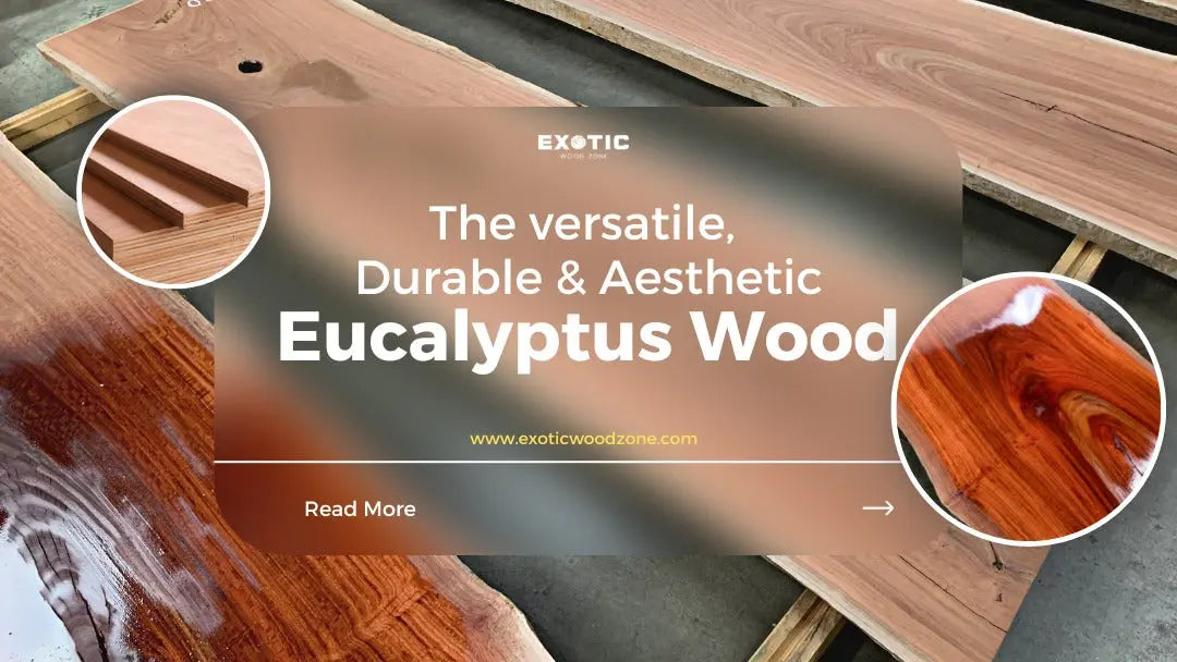 The-Versatile-Durable-and-Aesthetic-Eucalyptus-Wood Exotic Wood Zone