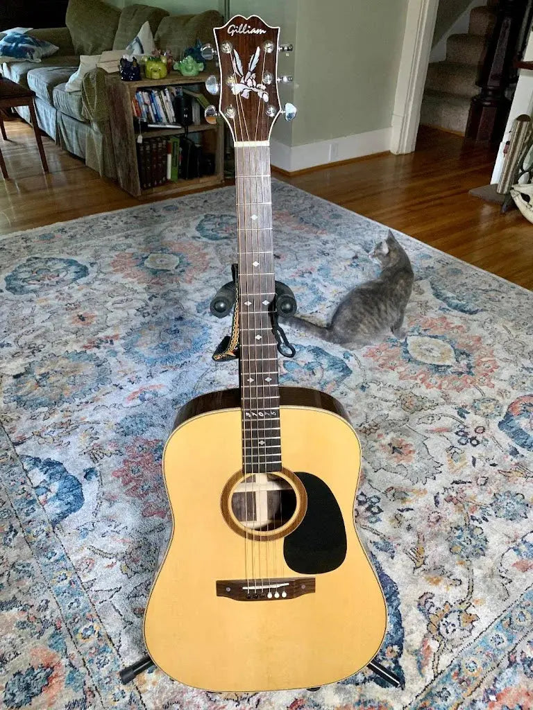 Acoustic-Guitar Exotic Wood Zone