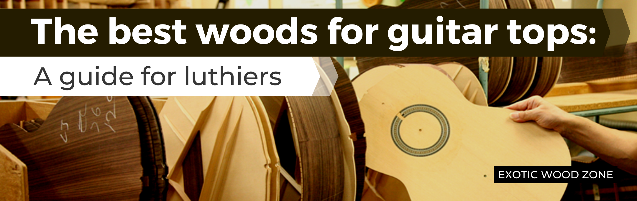 The Best Woods for Guitar Tops: A Guide for Guitar Makers
