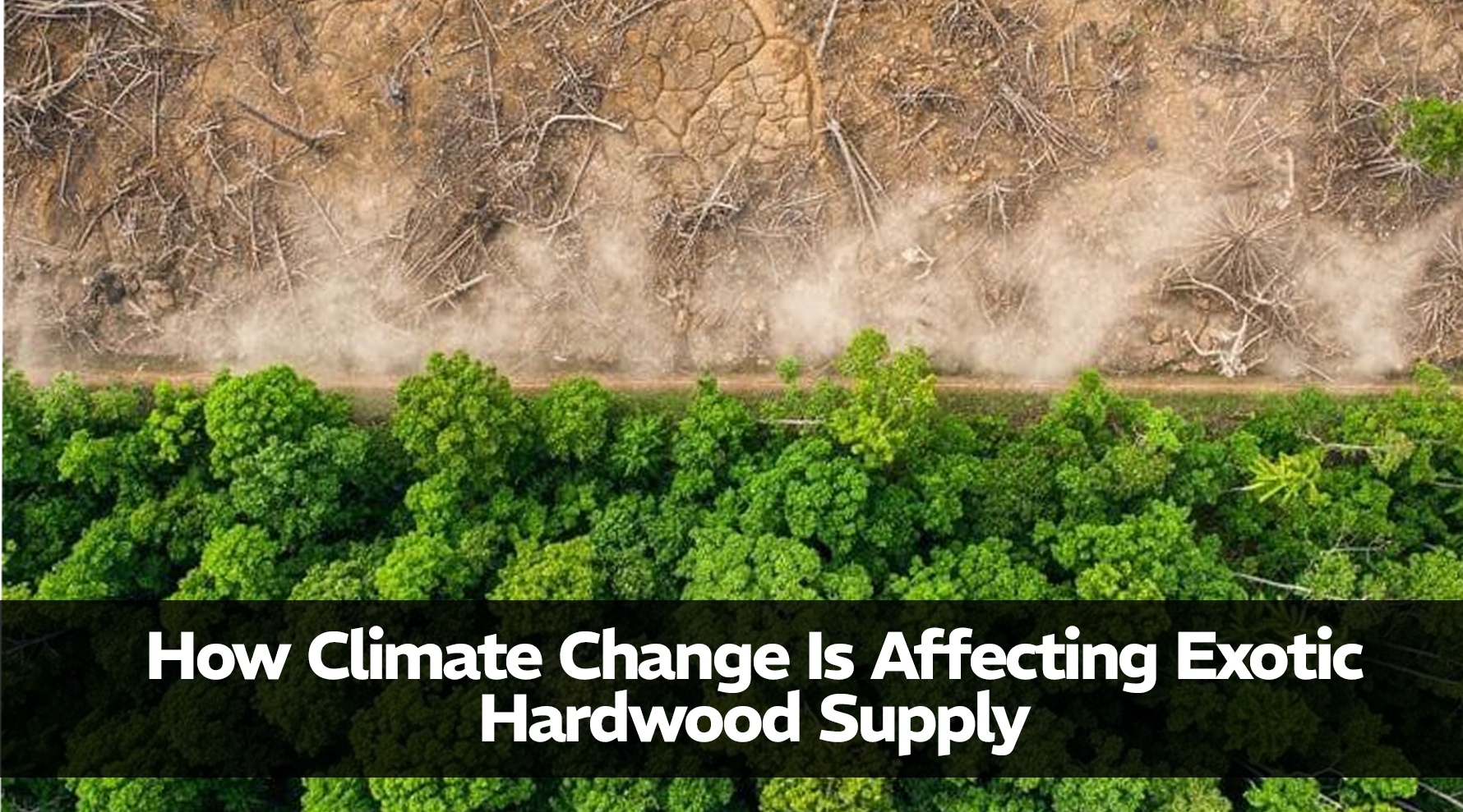 How Climate Change Is Affecting Exotic Hardwood Supply