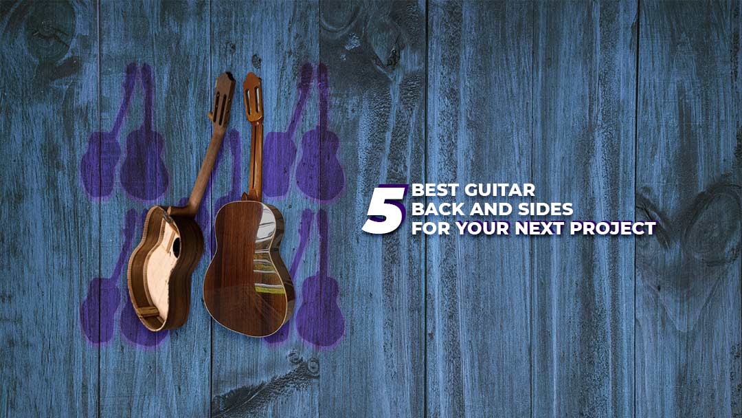 5 Best Guitar Back and Sides for Your Next Project