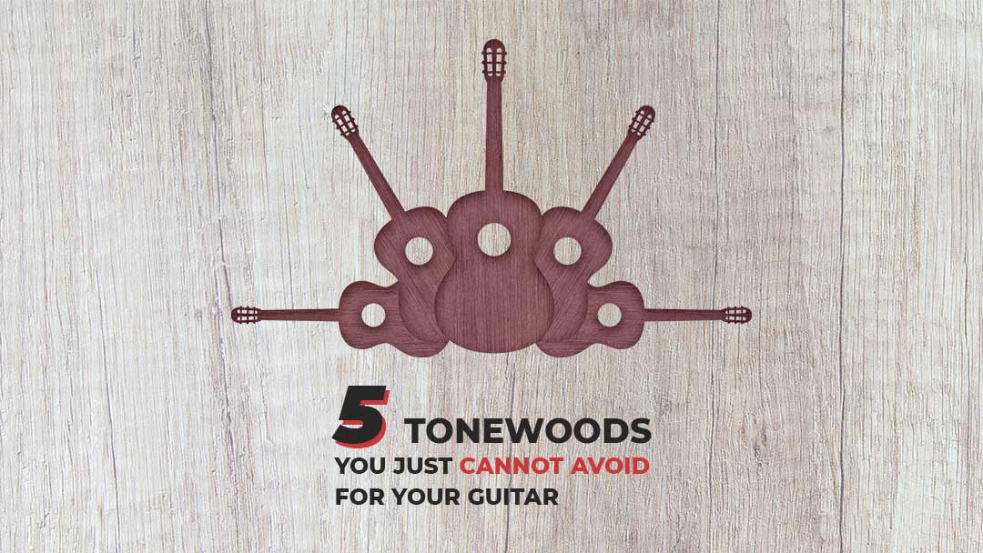 5 Tonewoods You Just Cannot Avoid for your Guitar