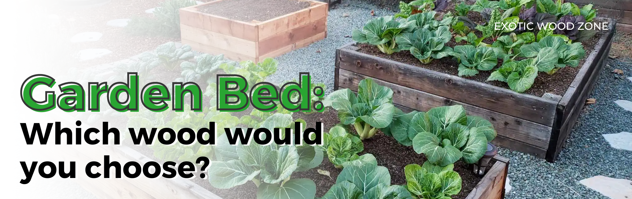 Garden beds: Which wood would you choose?