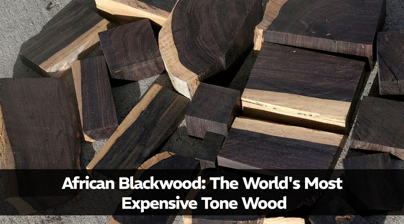 African Blackwood: The World's Most Expensive Tone Wood