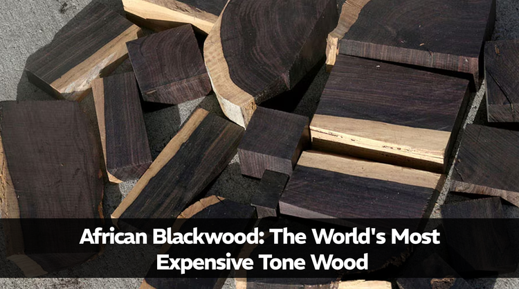 African Blackwood: The World's Most Expensive Tone Wood
