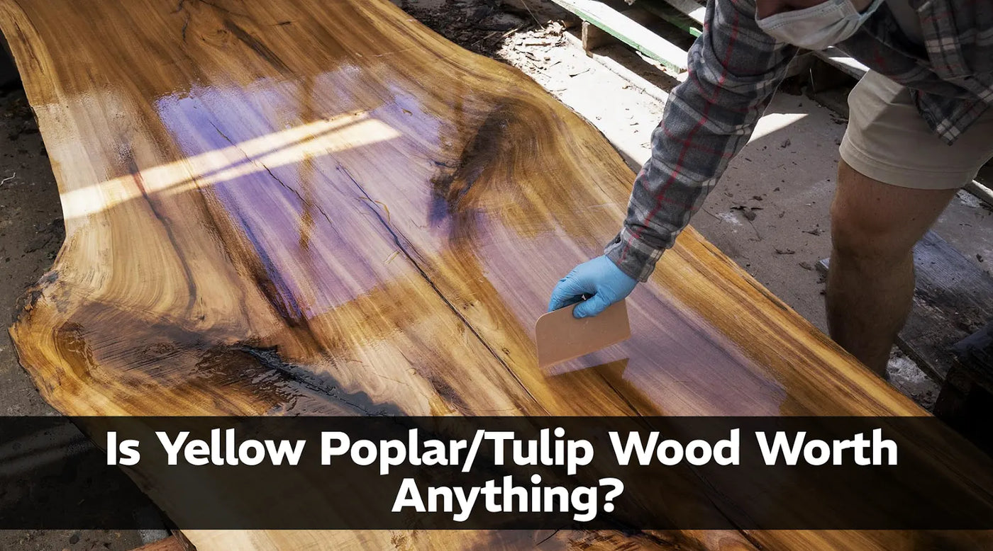 Tulip Wood