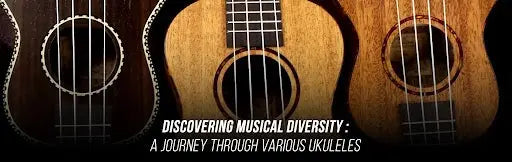 Discovering-Musical-Diversity-A-Journey-Through-Various-Ukulele Exotic Wood Zone