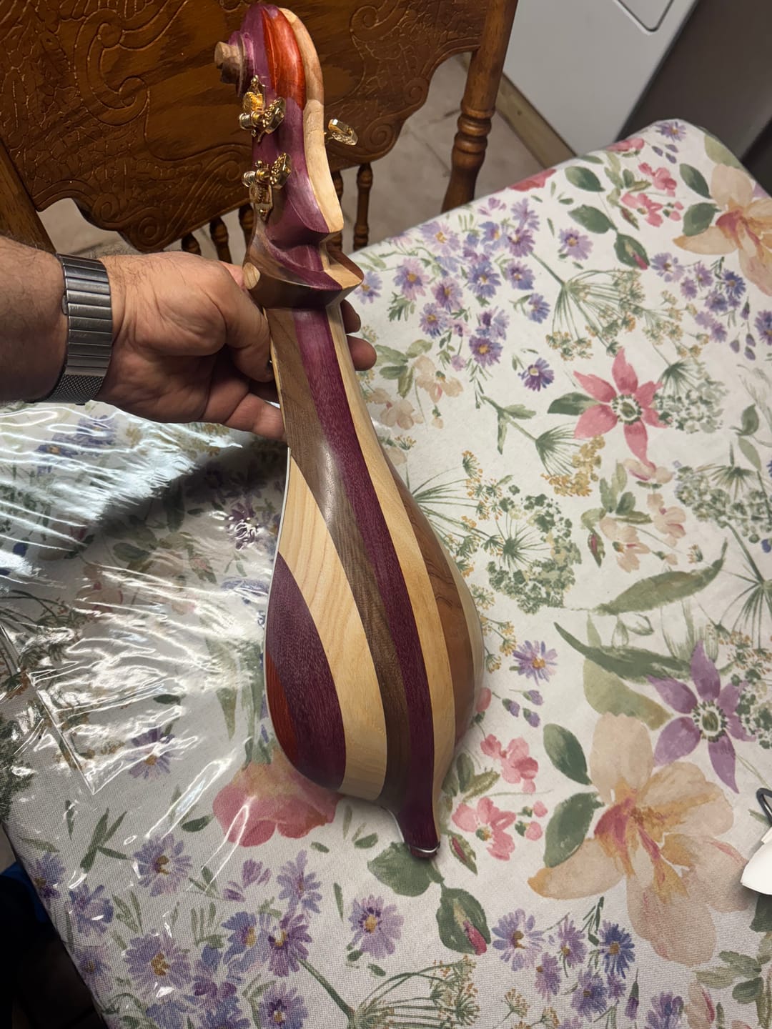 teardrop-shaped stringed instrument