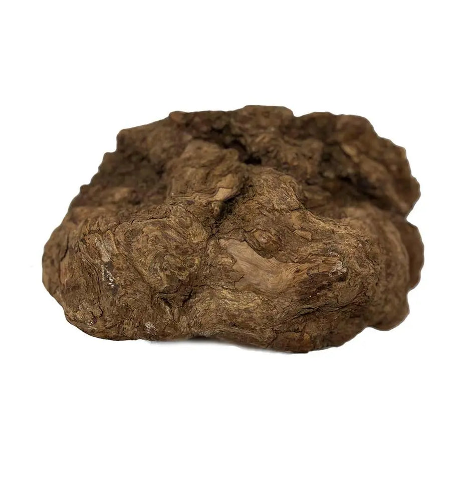 Kaniste-Burls Exotic Wood Zone