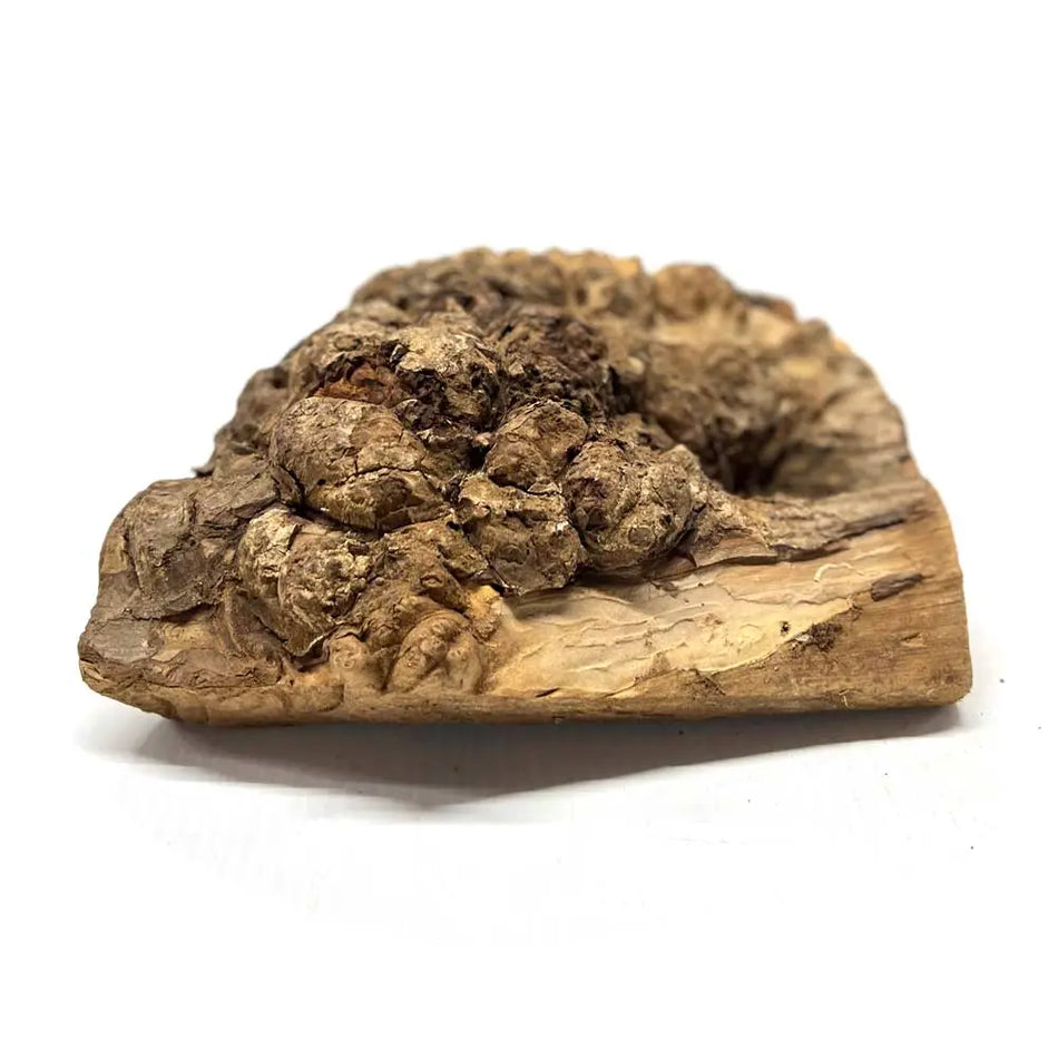 Paela-Burls Exotic Wood Zone